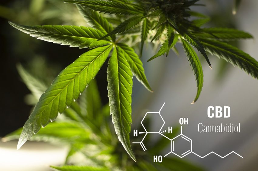 CBD for Arthritis Pain: How cannabidiol may reduce inflammation?